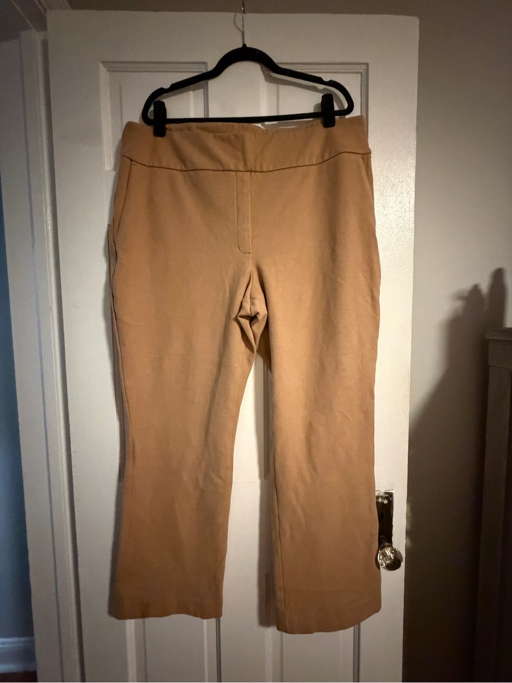 Express Boot Cut Pants in Camel Tan